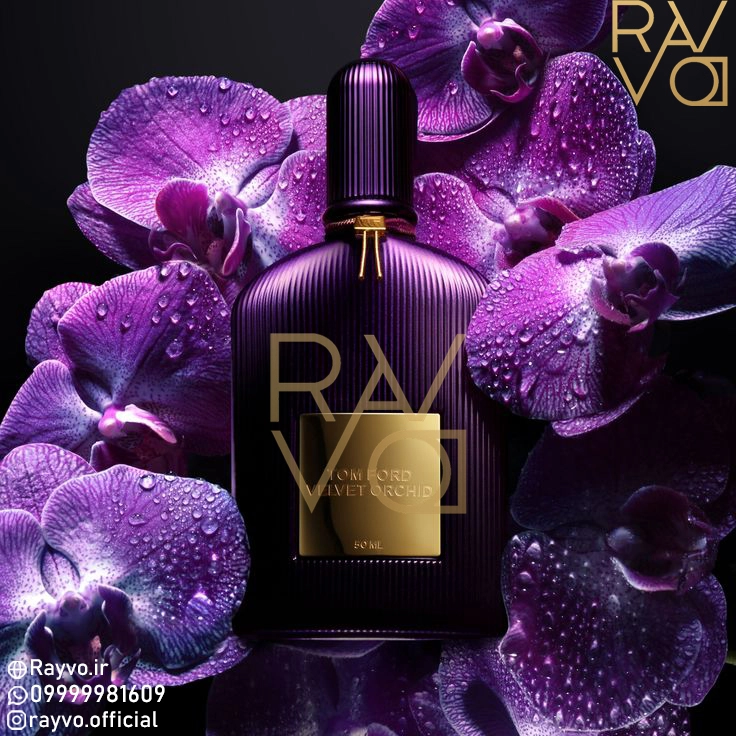 عطر ادکلن تام فورد بلک ارکید | Tom Ford Black Orchid